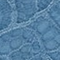 Parisian Bleue