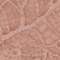 Praline